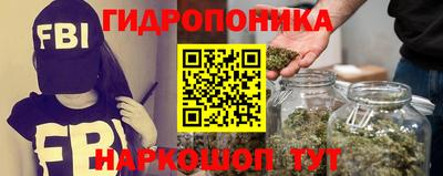 сатива Малгобек