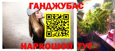 сатива Малгобек