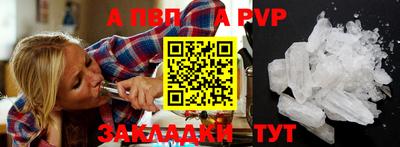 сатива Малгобек